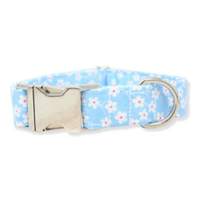 Load image into Gallery viewer, Blue &amp; White Daisy Dog Collar | Clearance
