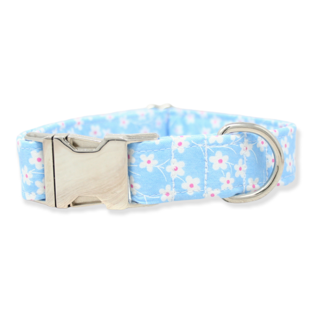 Blue & White Daisy Dog Collar | Clearance