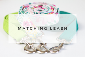 4' Matching Leash (Any Fabric in the Shop)