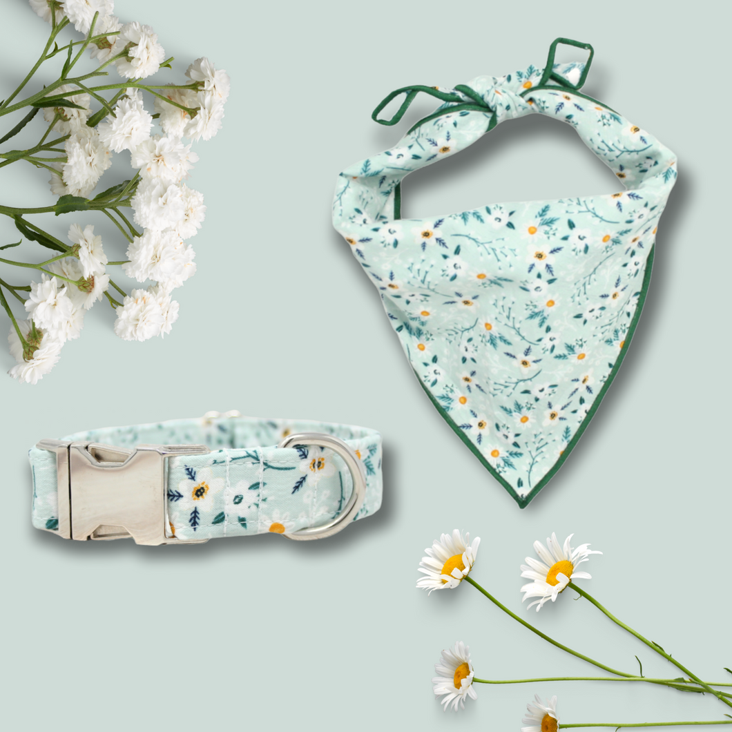 Mint Daisies | Collar & Bandana Set