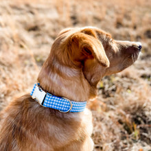 Load image into Gallery viewer, Carolina blue gingham dog collar from The Oxford Dog. 
