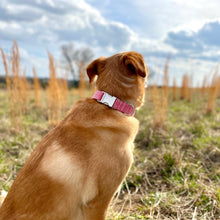 Load image into Gallery viewer, Pink ditsy dots dog collar with silver buckle from The Oxford Dog. 

