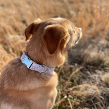 Load image into Gallery viewer, Grey berry leaves dog collar from The Oxford Dog. 
