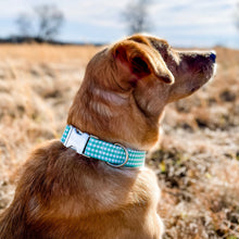 Load image into Gallery viewer, Seafoam green gingham dog collar from The Oxford Dog. 
