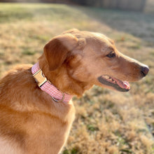 Load image into Gallery viewer, Pink gingham dog collar from The Oxford Dog. 
