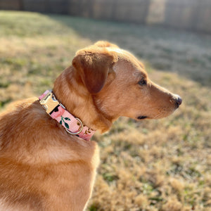 Pink watercolor floral dog collar from The Oxford Dog. 
