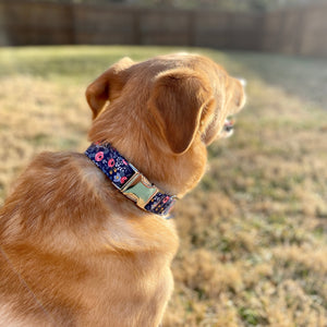 Rosa Navy dog collar from The Oxford Dog. 