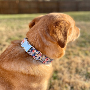 Rosa Periwinkle dog collar from The Oxford Dog. 