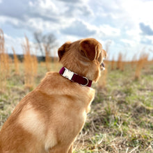 Load image into Gallery viewer, Solid burgundy dog collar from The Oxford Dog.
