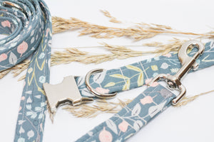 Teal meadows leash and collar silver hardware.