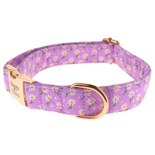 Load image into Gallery viewer, Purple Daisy Collar
