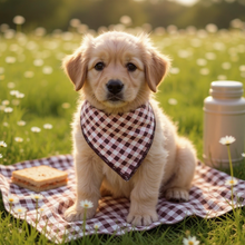 Load image into Gallery viewer, Maroon Gingham Dog Bandana
