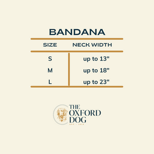 Solid Enchanted Dog Bandana