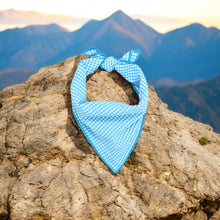 Load image into Gallery viewer, Carolina Blue Gingham Dog Bandana
