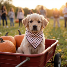Load image into Gallery viewer, Maroon Gingham Dog Bandana
