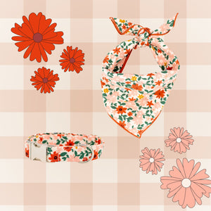 Cottage Floral Dog Collar