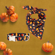 Load image into Gallery viewer, Fall Feast in Navy Dog Collar
