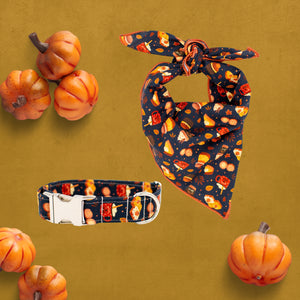 Fall Feast in Navy Dog Collar