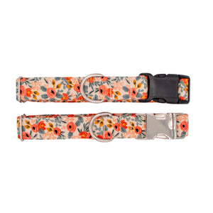 Rosa Peach Dog Collar