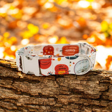 Load image into Gallery viewer, Vintage Pumpkins Dog Collar
