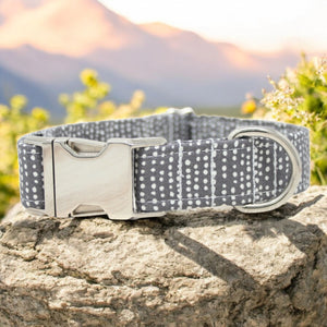 Dark Gray Dog Collar Ditsy Dots