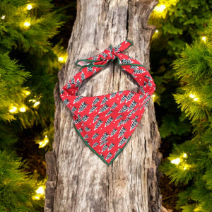 Fir Trees in Red Dog Bandana