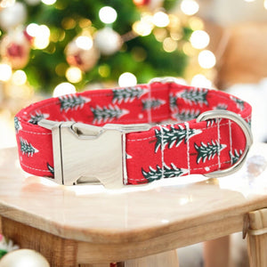 Fir Trees in Red Dog Collar