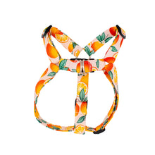 Load image into Gallery viewer, Oranges Dog Harness
