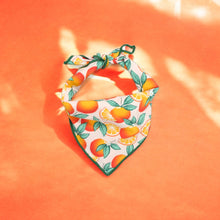 Load image into Gallery viewer, Oranges Dog Bandana
