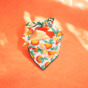 Oranges Dog Bandana