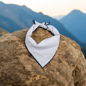 Light Gray Ditsy Dots Dog Bandana