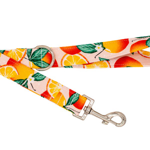 Oranges Dog Leash