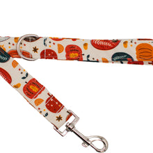 Load image into Gallery viewer, Vintage Pumpkins Dog Leash
