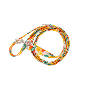 Oranges Dog Leash