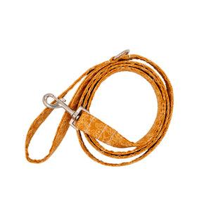 Rust Orange Floral Dog Leash