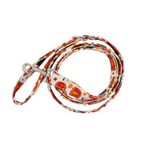Load image into Gallery viewer, Vintage Pumpkins Dog Leash
