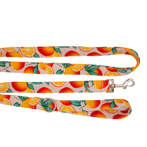 Oranges Dog Leash