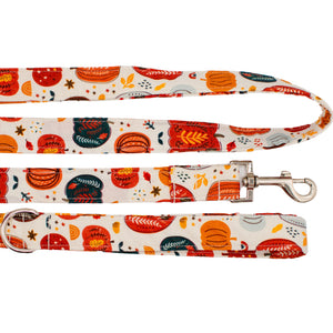 Vintage Pumpkins Dog Leash