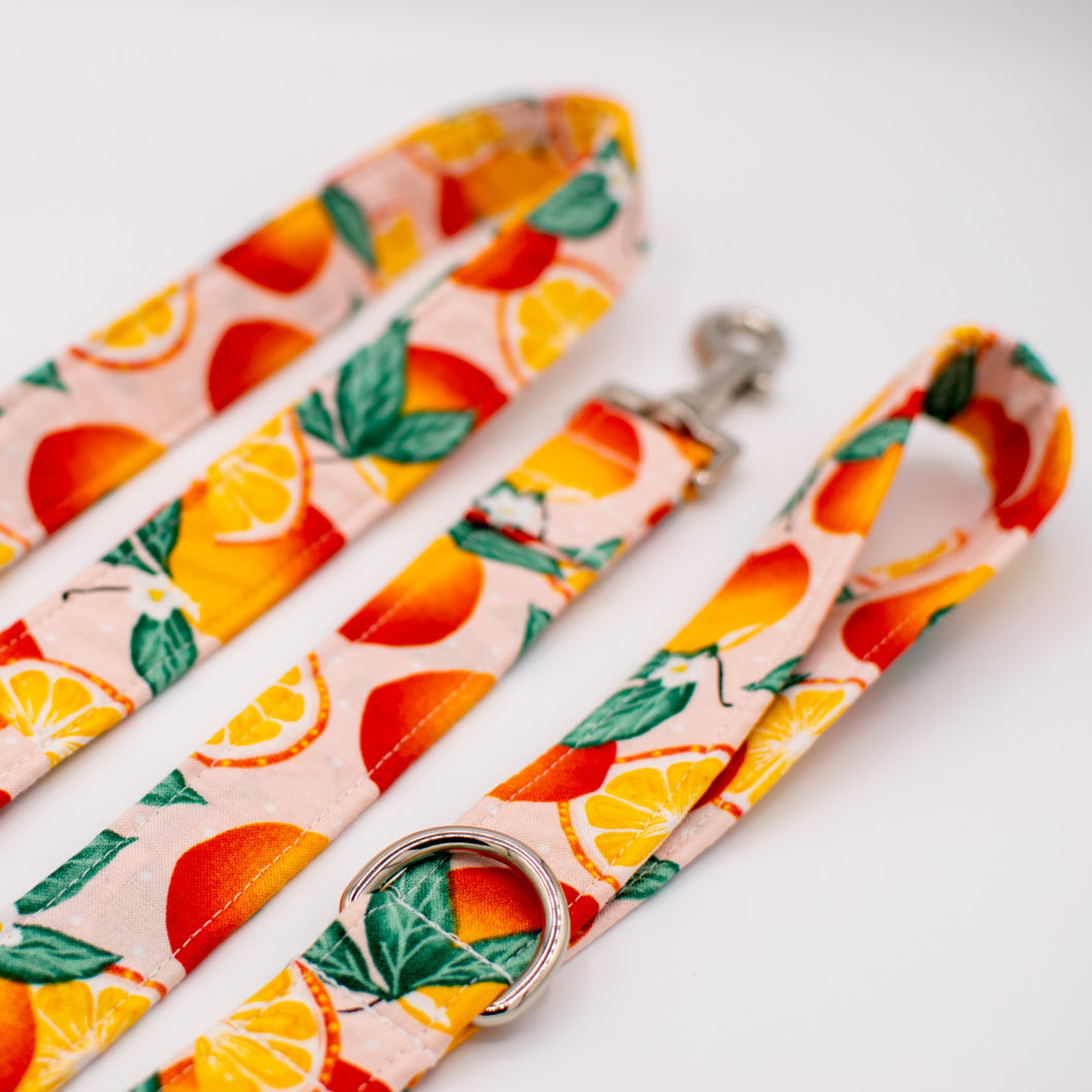 Oranges Dog Leash