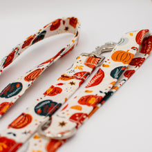 Load image into Gallery viewer, Vintage Pumpkins Dog Leash
