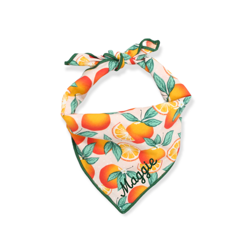 Oranges Dog Bandana