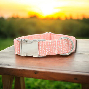 Peach Dog Collar Ditsy Dots