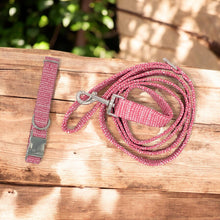 Load image into Gallery viewer, Pink Ditsy Dots | Collar and Leash Set
