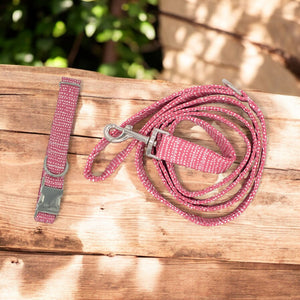 Pink Ditsy Dots | Collar and Leash Set