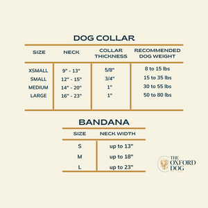 Teal Meadows | Collar & Bandana Set