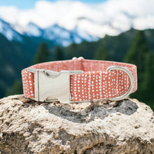 Load image into Gallery viewer, Burnt Orange Dog Collar Ditsy Dots
