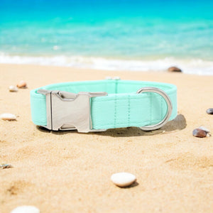 Solid Mint Blue Dog Collar