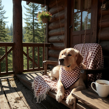 Load image into Gallery viewer, Maroon Gingham Dog Bandana
