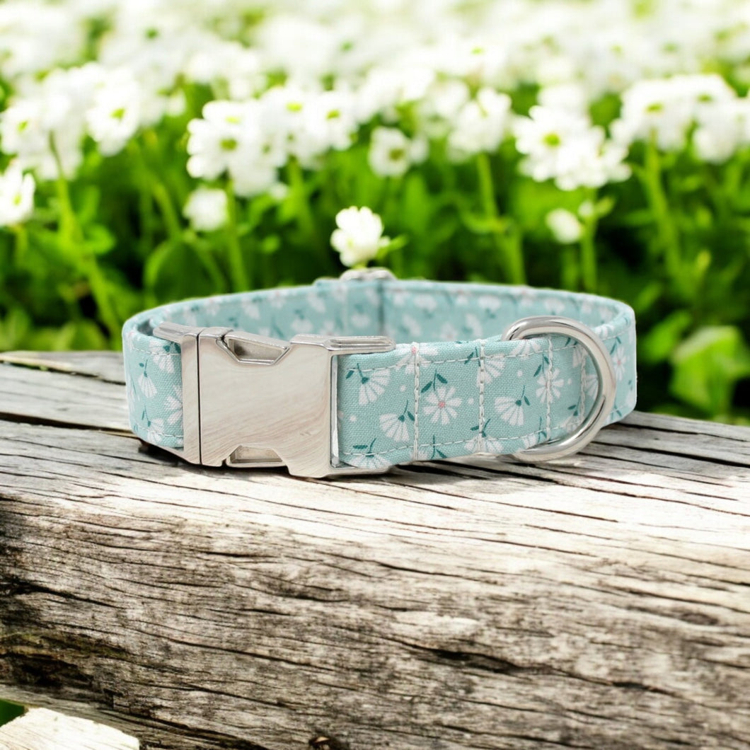 Teal and White Flowers Dog Collar