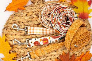 Vintage Pumpkins Dog Leash